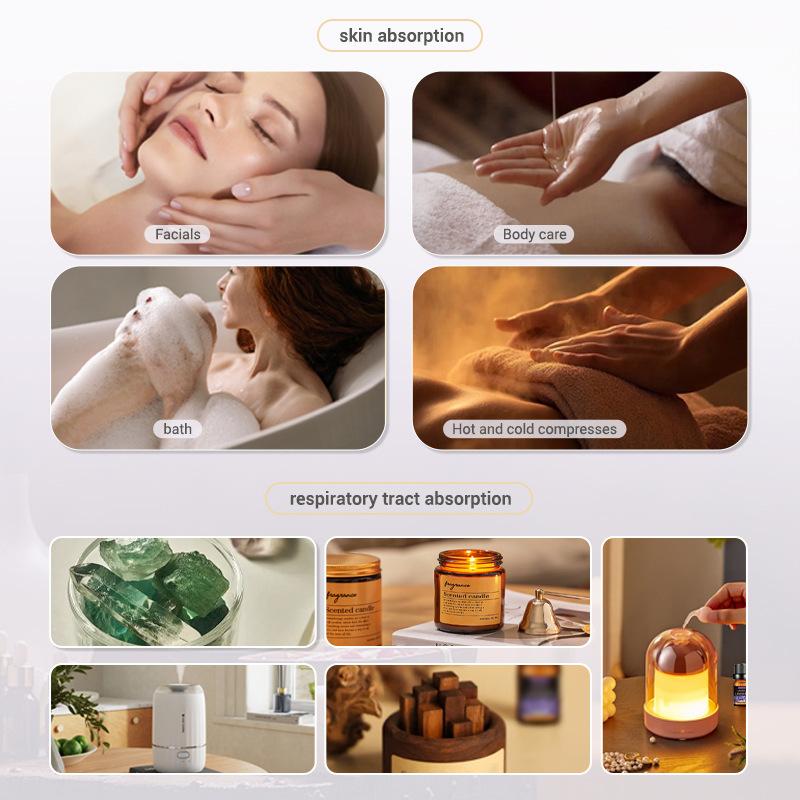 น้ำมันหอมระเหย 10 มล. กล่องของ - Soap Making Book บทวิจารณ์และราคา