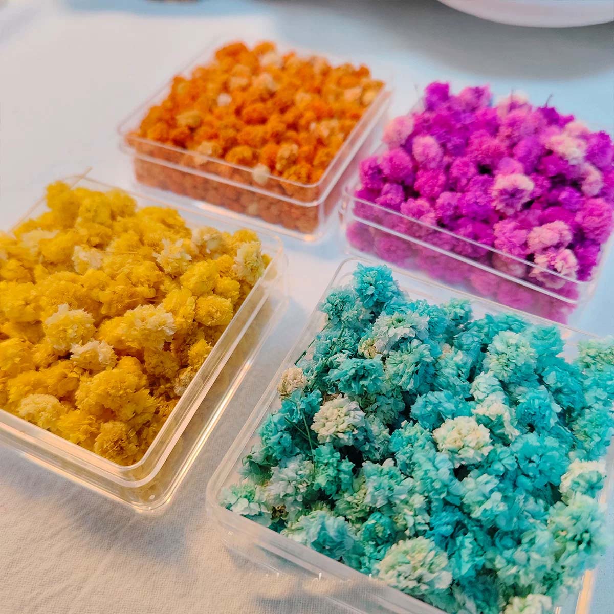 ดอกไม้แห้ง 1 กล่อง สำหรับงาน D - Soap Making Book บทวิจารณ์และราคา