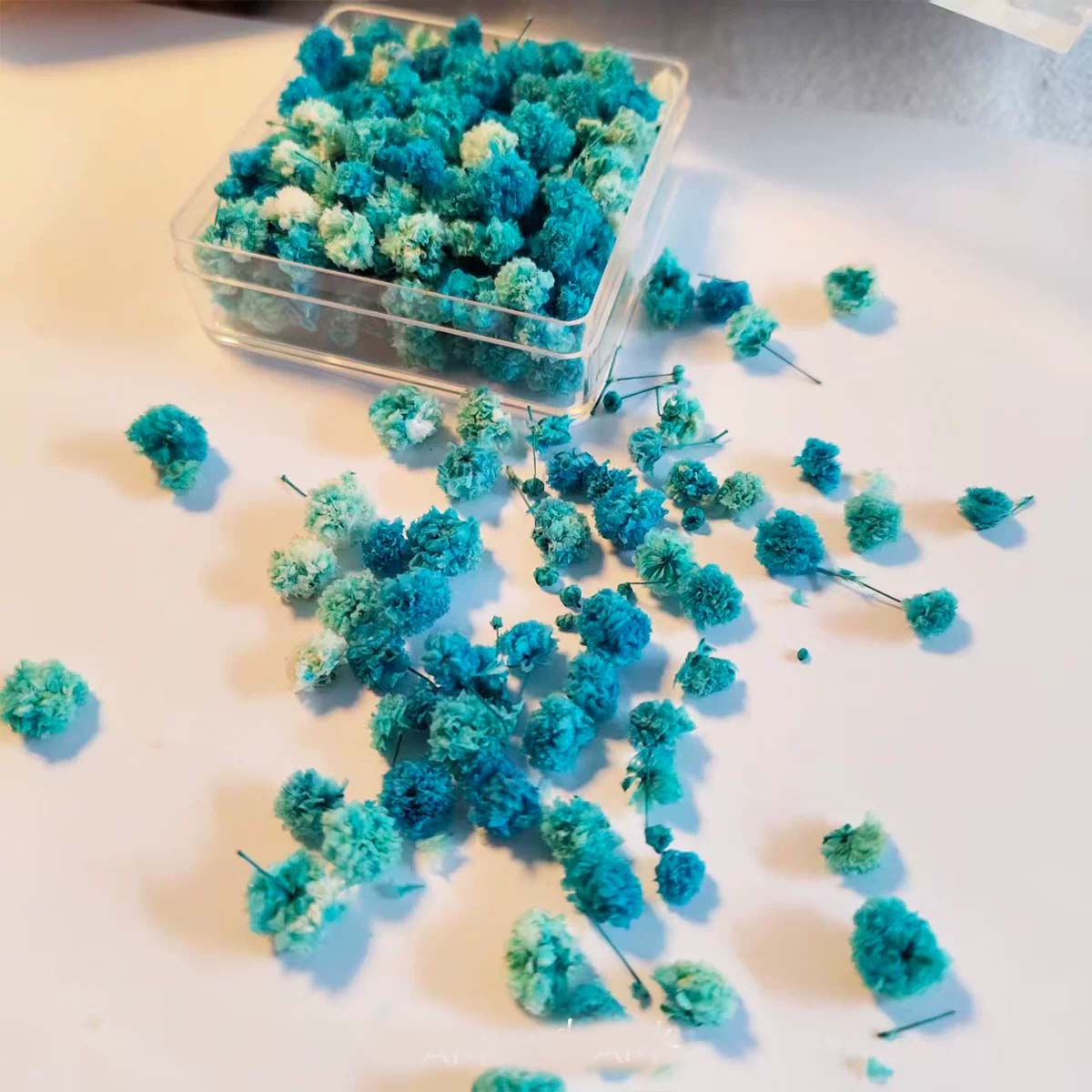 ดอกไม้แห้ง 1 กล่อง สำหรับงาน D - Soap Making Book บทวิจารณ์และราคา